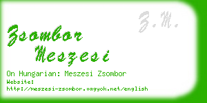 zsombor meszesi business card